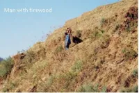 man with firewood