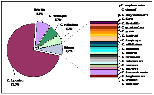 Distribution of Camellia cultivars 