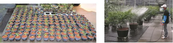 More photos More photos