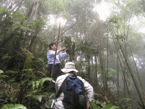 Damdao Park  Damdao Park