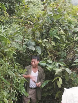 Thai Nguyen Vietnam Thai Nguyen Vietnam