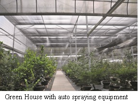 Green House  Green House