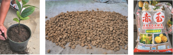 More photos More photos