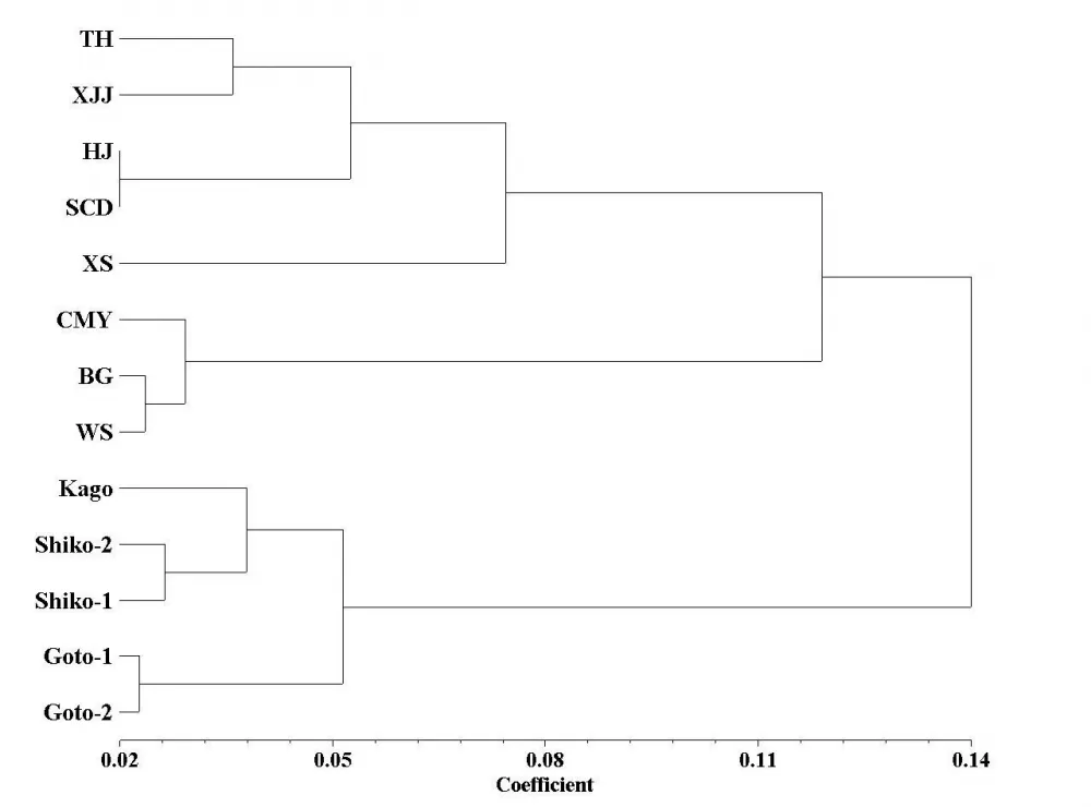 UPGMA dendrogram  UPGMA dendrogram