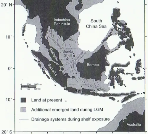 sub-continent of Sundaland  sub-continent of Sundaland