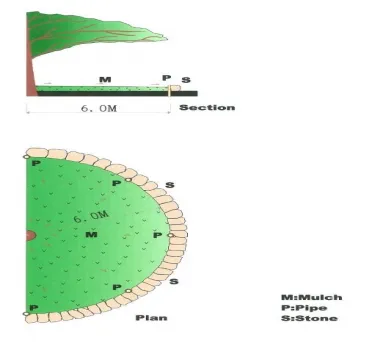 Fig. 4  The outline of soil amendment for historic camellias