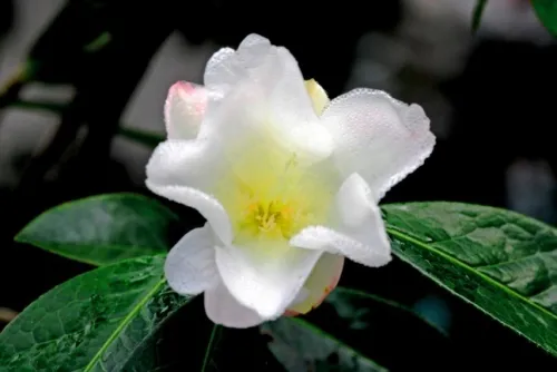 Photo 4 Photo 4