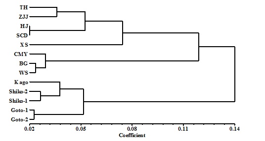 Dendrogram Dendrogram