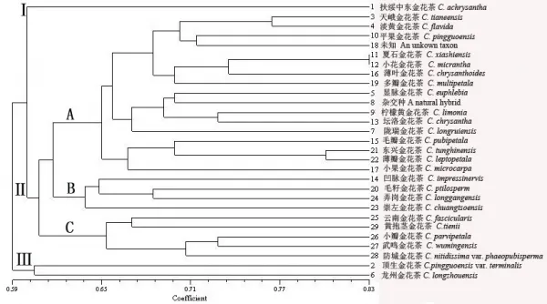 Dendrogram