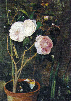 A. J. da Costa - Pot with camellias, MNSR, Porto