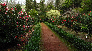 Reticulatas Garden