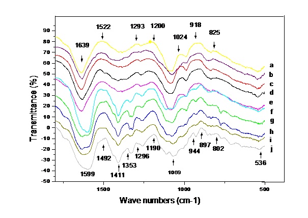 The absorbance spectra of DNA FTIR  The absorbance spectra of DNA FTIR