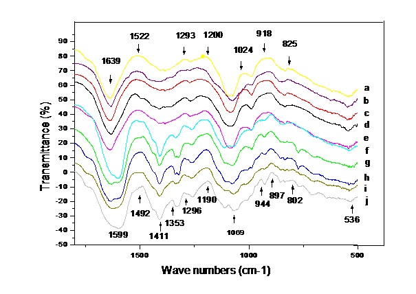 The absorbance spectra of DNA FTIR 