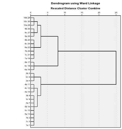 Dendrogram of Hierarchical Cluster 