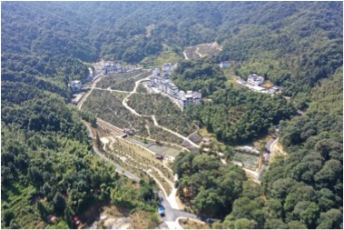 Apoliu Camellia Valley