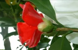 3-No. 1