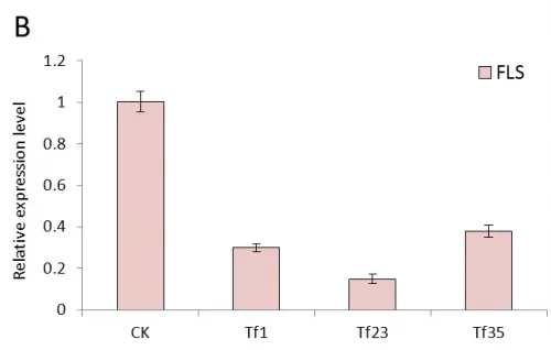 Fig 4B