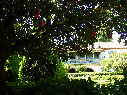 Casa de Santar, Viseu