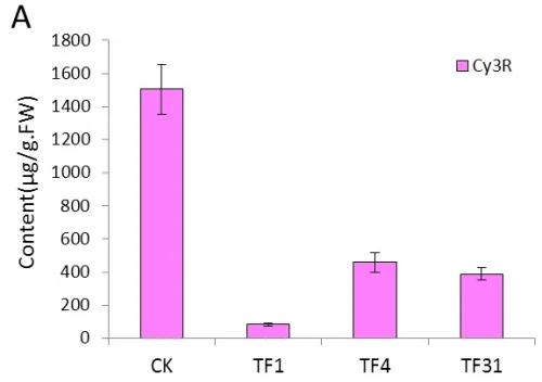 Fig 5A