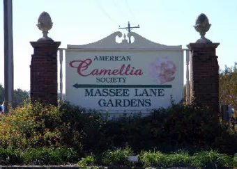 Main Entrance Sign400