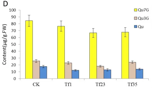 Fig 5D
