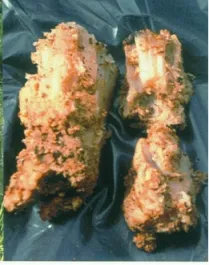 Stem timber was decomposed 
