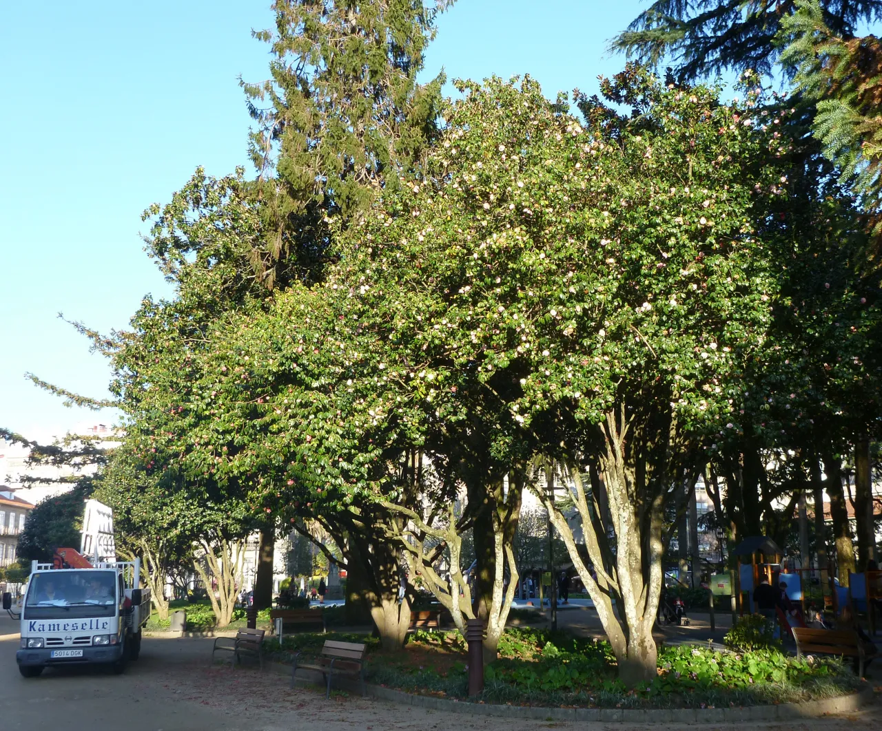 6 Pontevedra 2