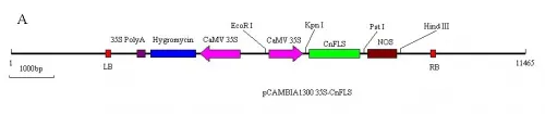 Fig 1A