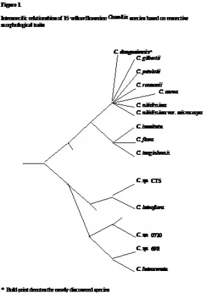 Dendrogram