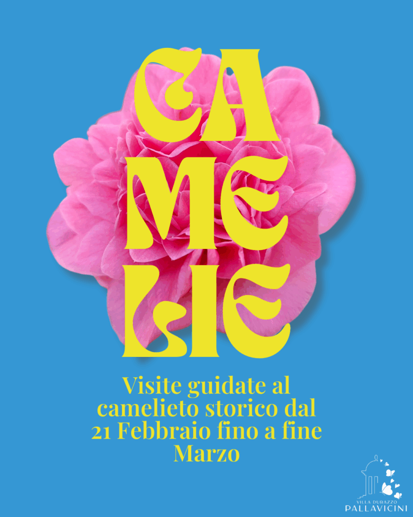 Villa Pallavicino 2026