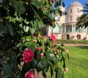 Seafield House and Gardens - Channel Islands