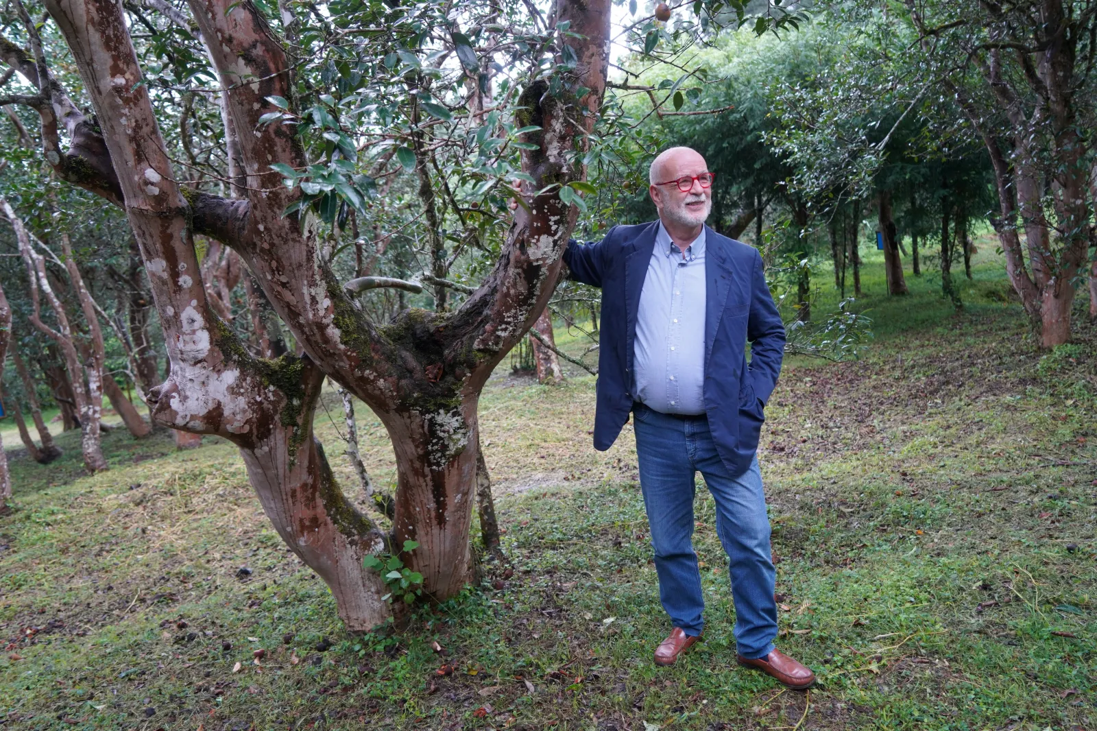 President Prof Motta Wild C Reticulata