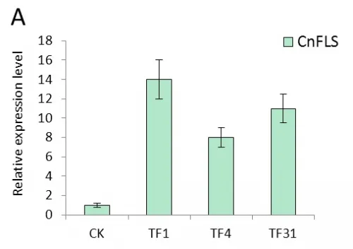 Fig 4A