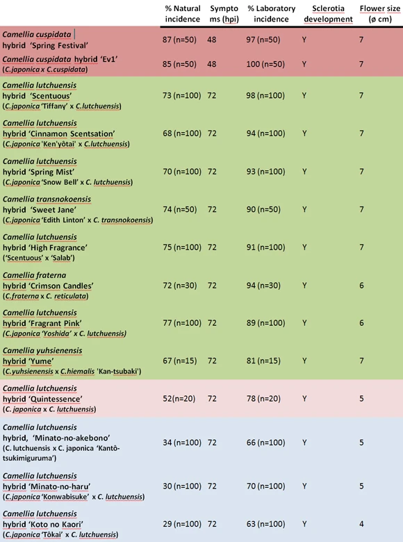 Table 2