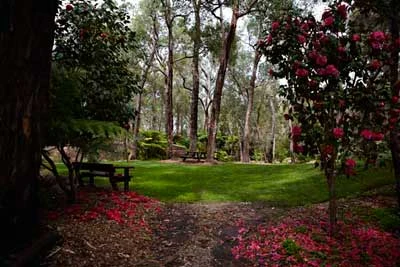 Araluen_gardens