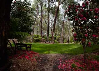 Araluen gardens