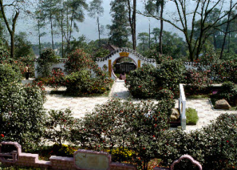 Nanshan garden400