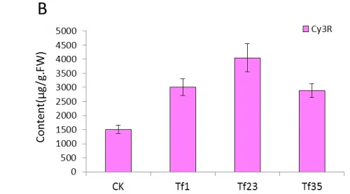 Fig 5B