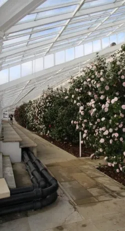 Chiswick House_inside.jpg