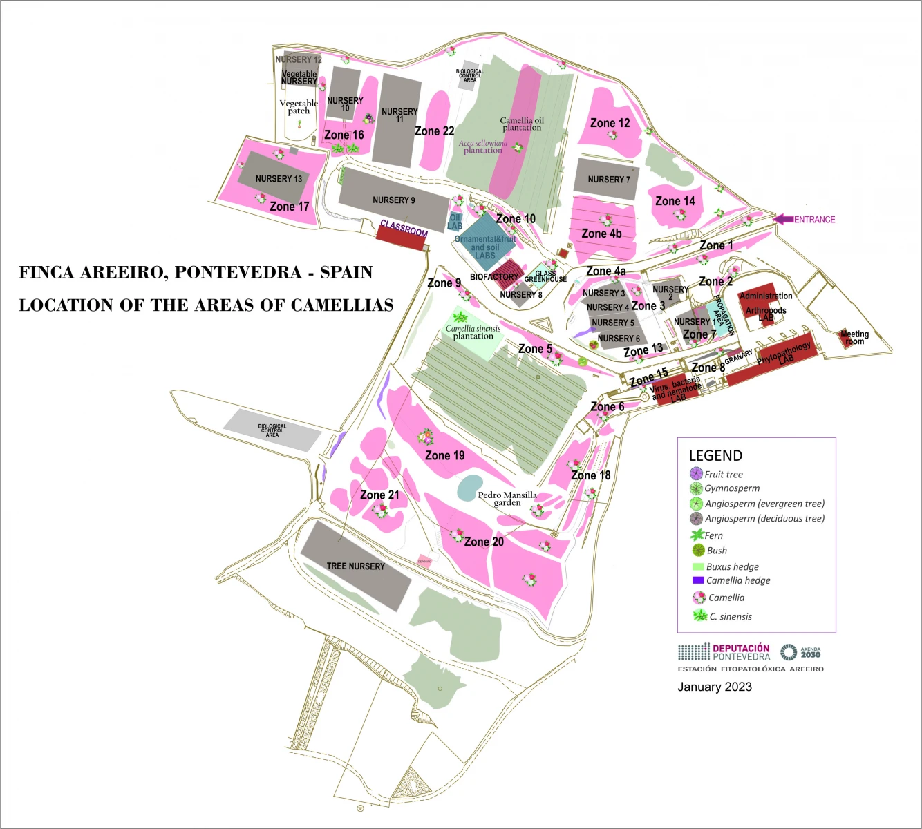 Finca Areeiro Plan camellias areas