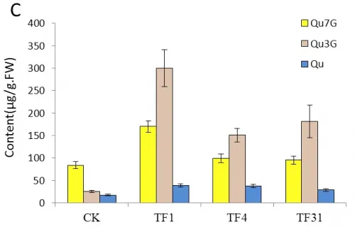 Fig 5C