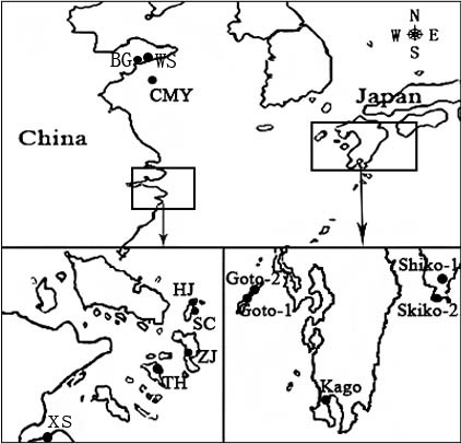 13 sampled populations in China and Japan