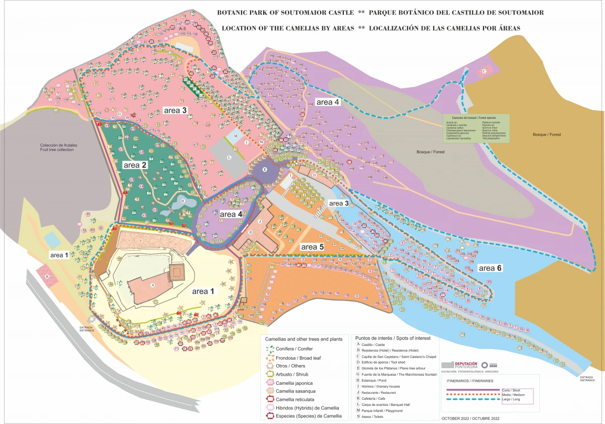 Plan with AREAS