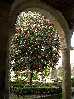 The Cloister of Mosteiro de Tibães,Braga