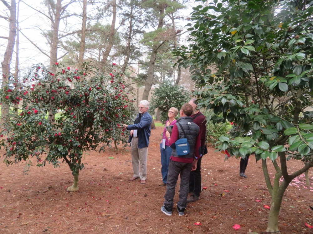 Burden Botanic Garden