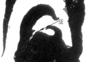 Fig1D