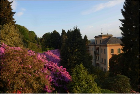villa motta 1