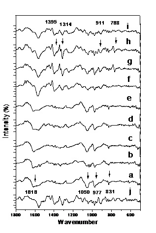 The first derivative of DNA FTIR 