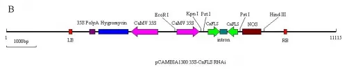 Fig 1B