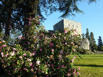 Soutomaior Castle